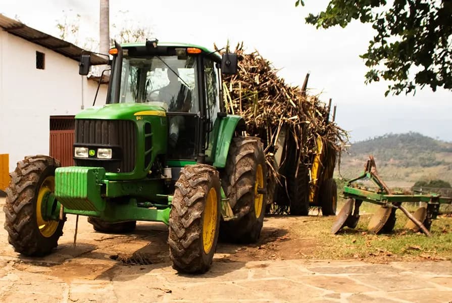 Transporte y molienda